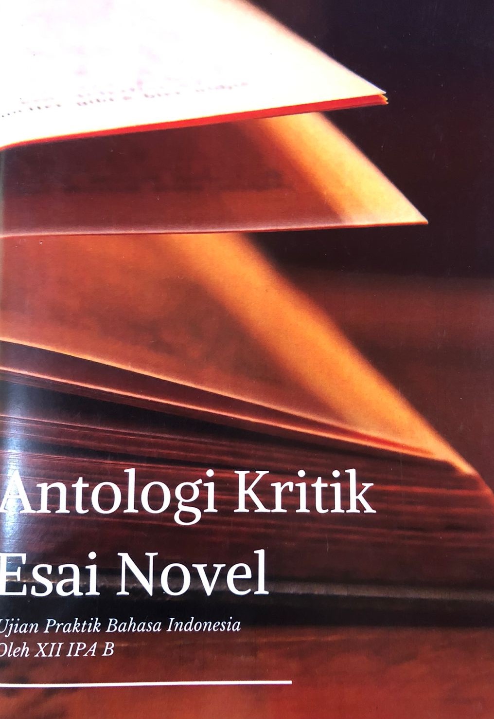 Antologi Kritik Esai Novel