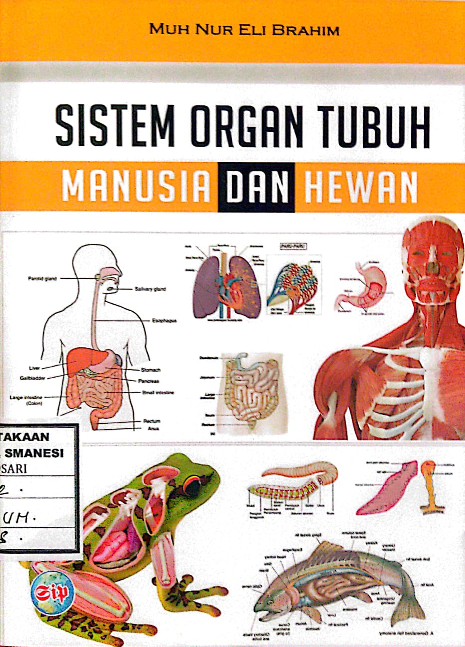 Sistem organ tubuh manusia dan hewan